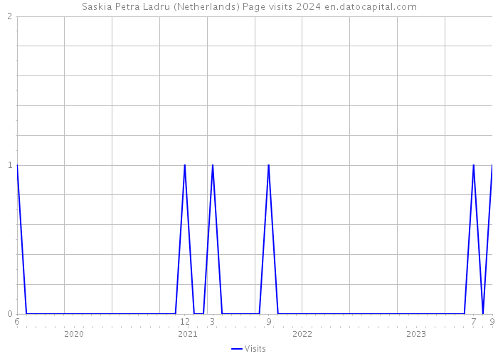 Saskia Petra Ladru (Netherlands) Page visits 2024 