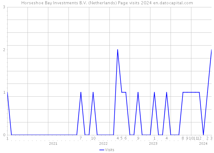 Horseshoe Bay Investments B.V. (Netherlands) Page visits 2024 