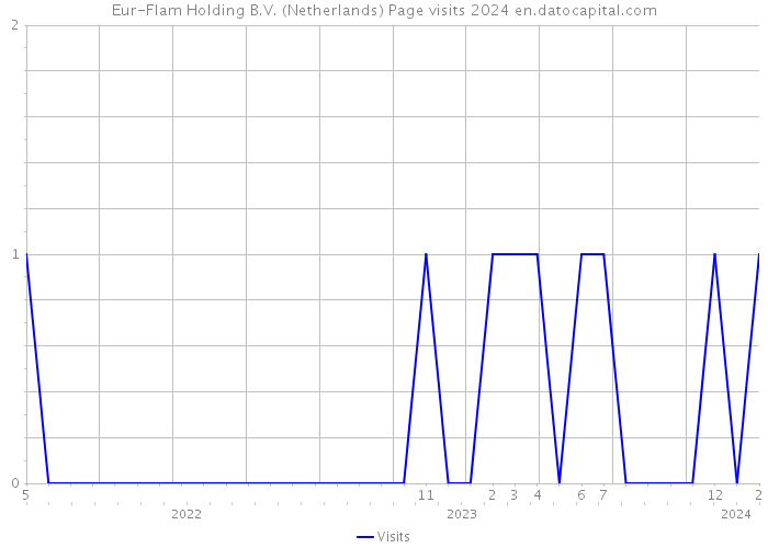 Eur-Flam Holding B.V. (Netherlands) Page visits 2024 