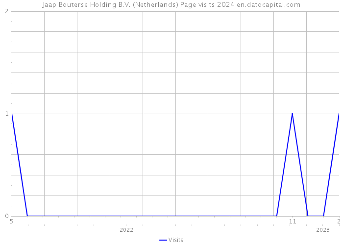 Jaap Bouterse Holding B.V. (Netherlands) Page visits 2024 