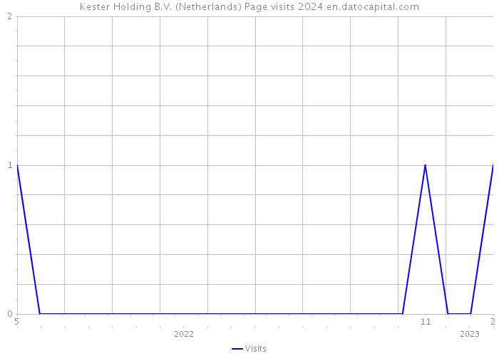 Kester Holding B.V. (Netherlands) Page visits 2024 
