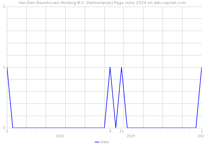Van Den Steenhoven Holding B.V. (Netherlands) Page visits 2024 