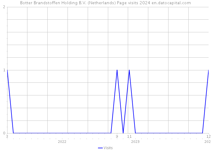 Botter Brandstoffen Holding B.V. (Netherlands) Page visits 2024 