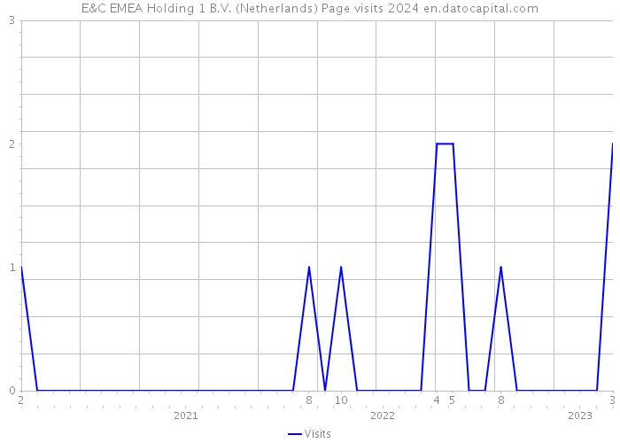 E&C EMEA Holding 1 B.V. (Netherlands) Page visits 2024 