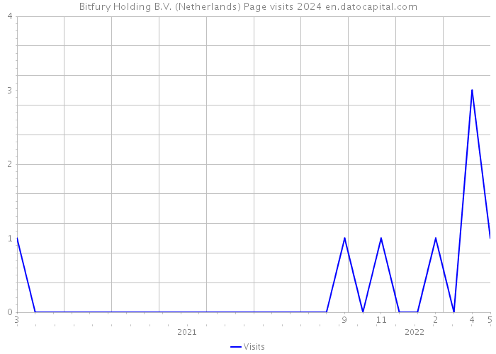Bitfury Holding B.V. (Netherlands) Page visits 2024 