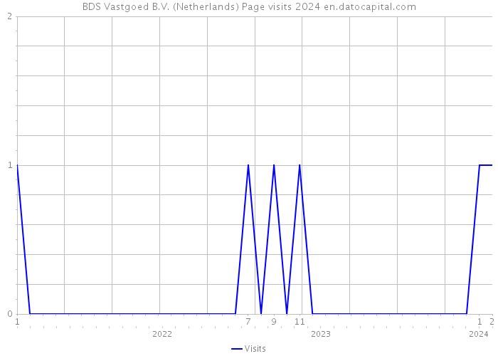 BDS Vastgoed B.V. (Netherlands) Page visits 2024 