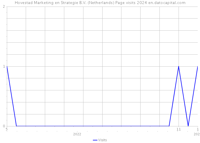 Hovestad Marketing en Strategie B.V. (Netherlands) Page visits 2024 