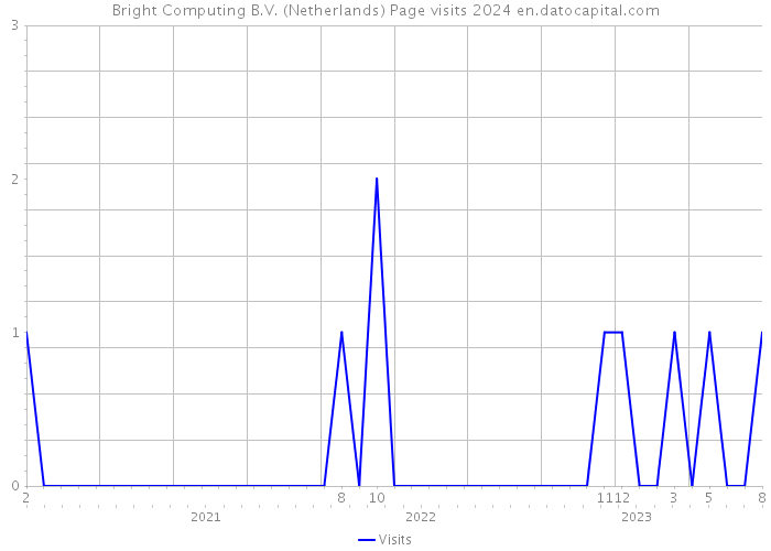 Bright Computing B.V. (Netherlands) Page visits 2024 