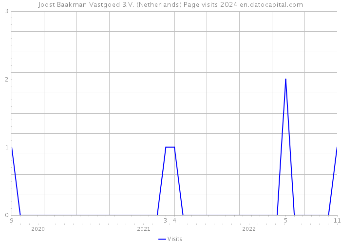 Joost Baakman Vastgoed B.V. (Netherlands) Page visits 2024 