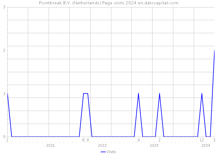 Pointbreak B.V. (Netherlands) Page visits 2024 