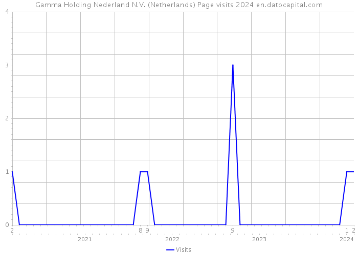 Gamma Holding Nederland N.V. (Netherlands) Page visits 2024 