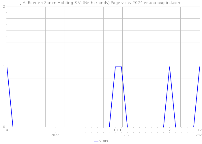 J.A. Boer en Zonen Holding B.V. (Netherlands) Page visits 2024 