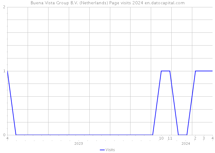 Buena Vista Group B.V. (Netherlands) Page visits 2024 