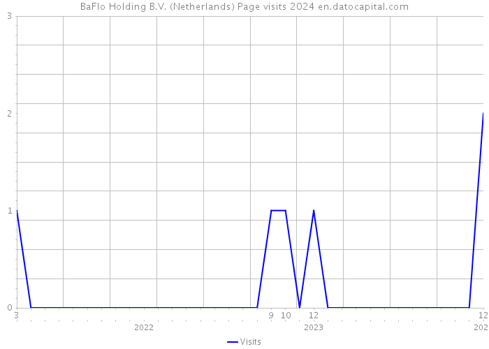 BaFlo Holding B.V. (Netherlands) Page visits 2024 