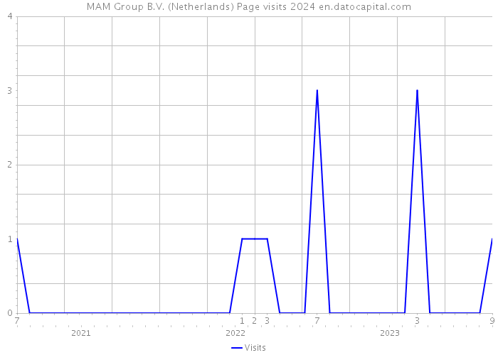 MAM Group B.V. (Netherlands) Page visits 2024 
