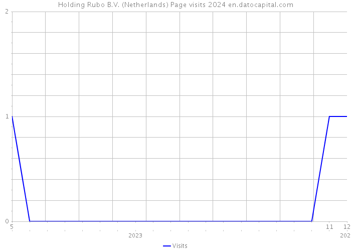 Holding Rubo B.V. (Netherlands) Page visits 2024 