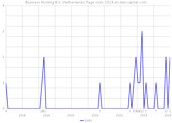 Business Holding B.V. (Netherlands) Page visits 2024 
