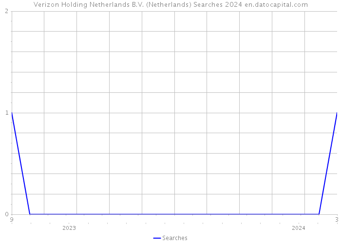 Verizon Holding Netherlands B.V. (Netherlands) Searches 2024 