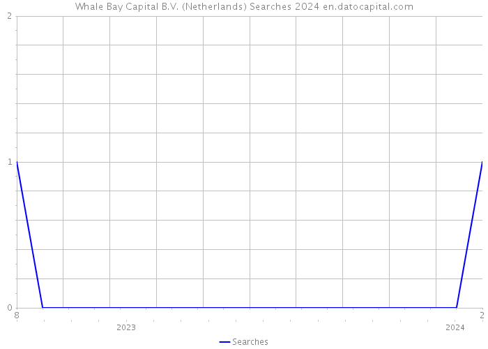 Whale Bay Capital B.V. (Netherlands) Searches 2024 