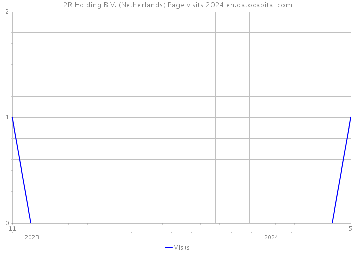2R Holding B.V. (Netherlands) Page visits 2024 