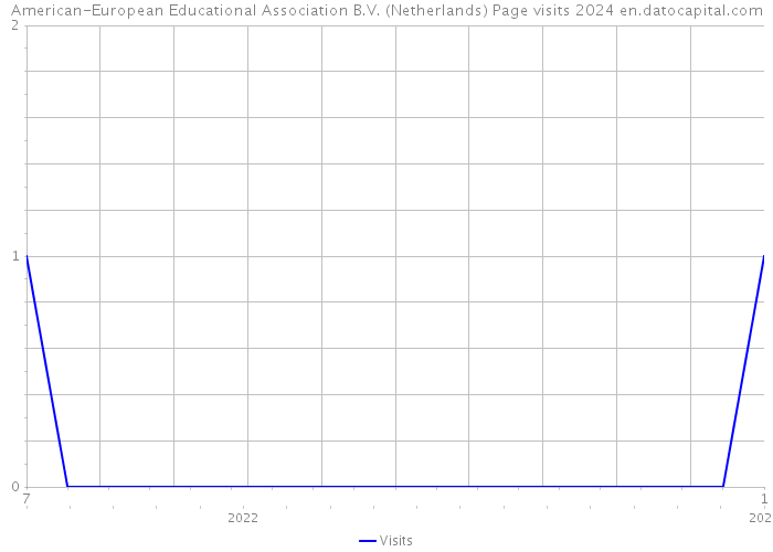 American-European Educational Association B.V. (Netherlands) Page visits 2024 