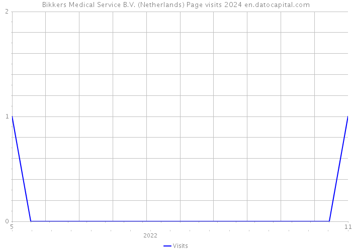 Bikkers Medical Service B.V. (Netherlands) Page visits 2024 