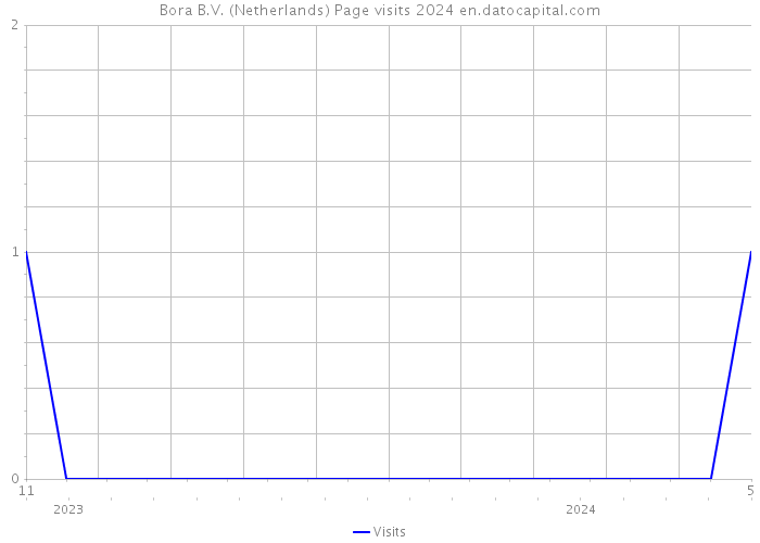 Bora B.V. (Netherlands) Page visits 2024 