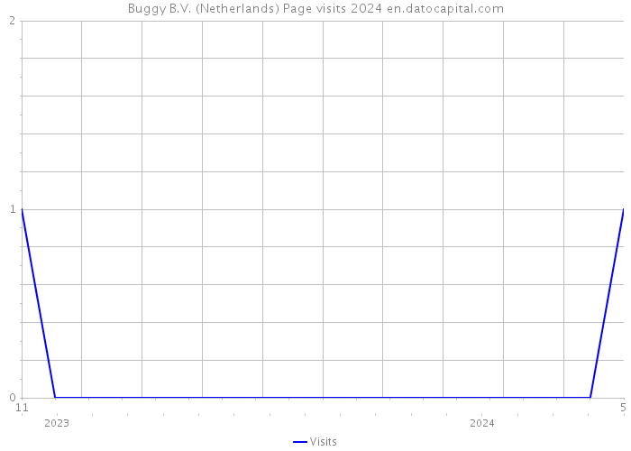 Buggy B.V. (Netherlands) Page visits 2024 