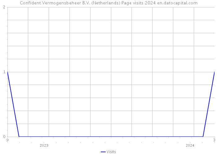 Confident Vermogensbeheer B.V. (Netherlands) Page visits 2024 