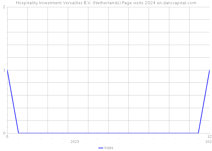 Hospitality Investment Versailles B.V. (Netherlands) Page visits 2024 