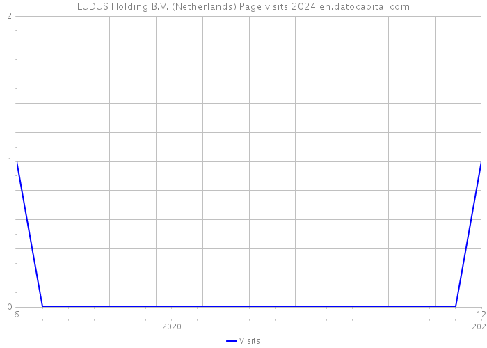 LUDUS Holding B.V. (Netherlands) Page visits 2024 
