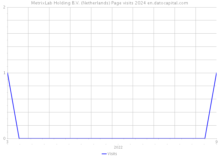 MetrixLab Holding B.V. (Netherlands) Page visits 2024 
