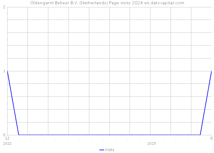 Oldengarm Beheer B.V. (Netherlands) Page visits 2024 