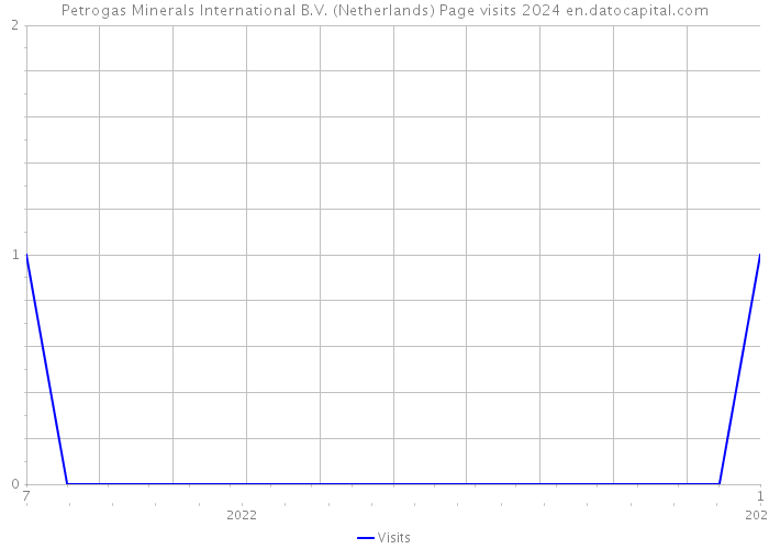 Petrogas Minerals International B.V. (Netherlands) Page visits 2024 