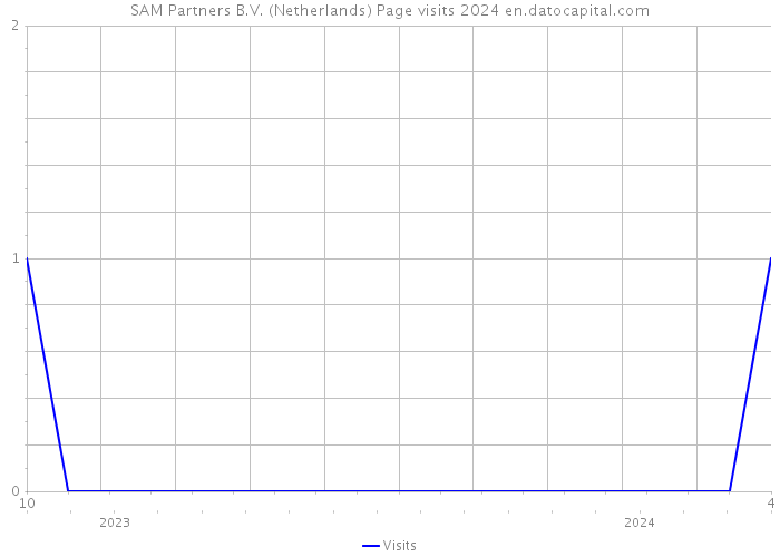 SAM Partners B.V. (Netherlands) Page visits 2024 
