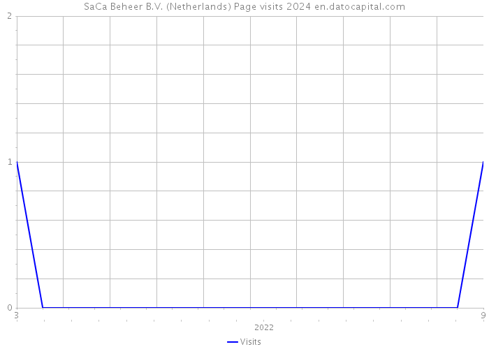 SaCa Beheer B.V. (Netherlands) Page visits 2024 
