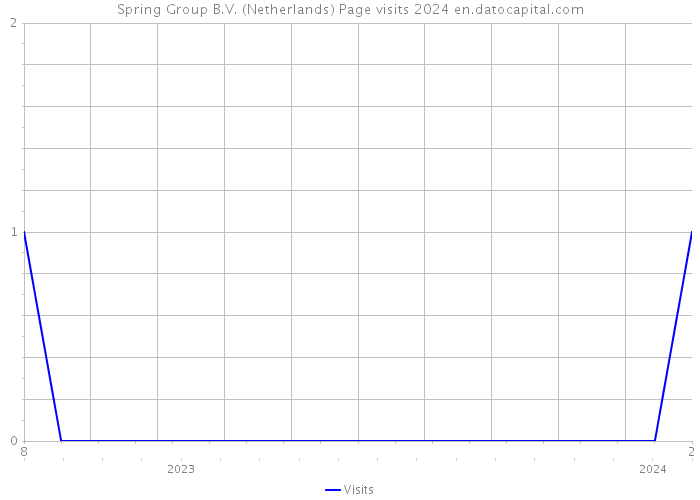 Spring Group B.V. (Netherlands) Page visits 2024 
