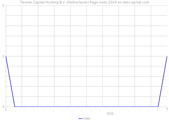 Twente Capital Holding B.V. (Netherlands) Page visits 2024 