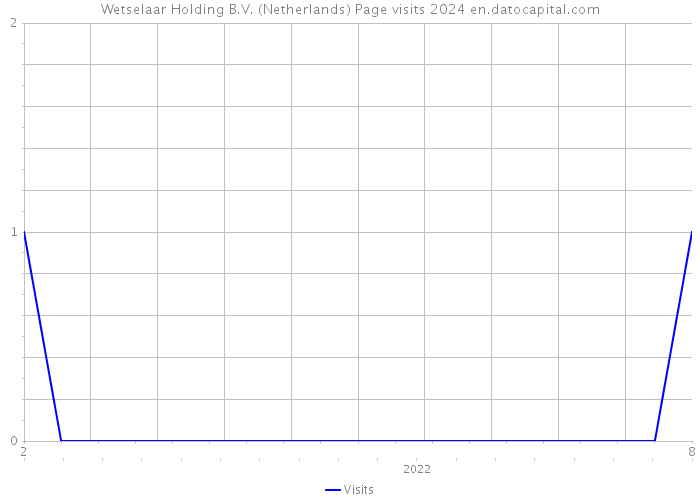 Wetselaar Holding B.V. (Netherlands) Page visits 2024 