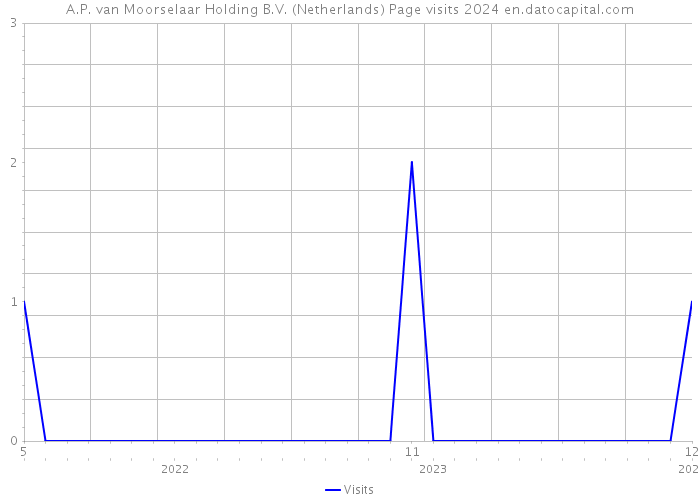 A.P. van Moorselaar Holding B.V. (Netherlands) Page visits 2024 