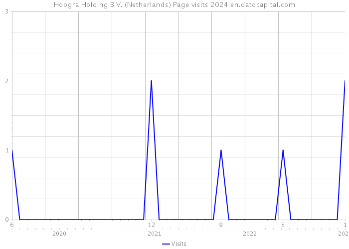 Hoogra Holding B.V. (Netherlands) Page visits 2024 