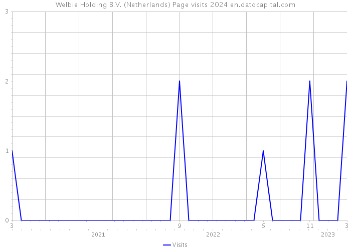 Welbie Holding B.V. (Netherlands) Page visits 2024 