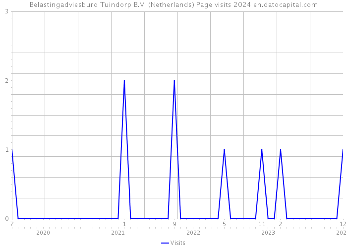 Belastingadviesburo Tuindorp B.V. (Netherlands) Page visits 2024 