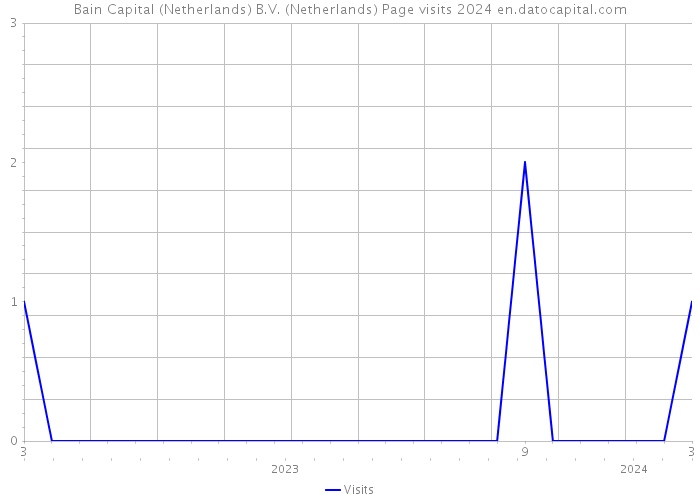 Bain Capital (Netherlands) B.V. (Netherlands) Page visits 2024 
