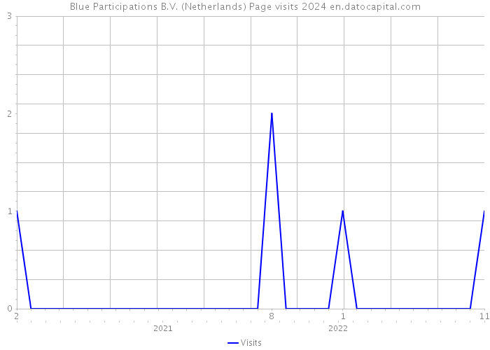 Blue Participations B.V. (Netherlands) Page visits 2024 