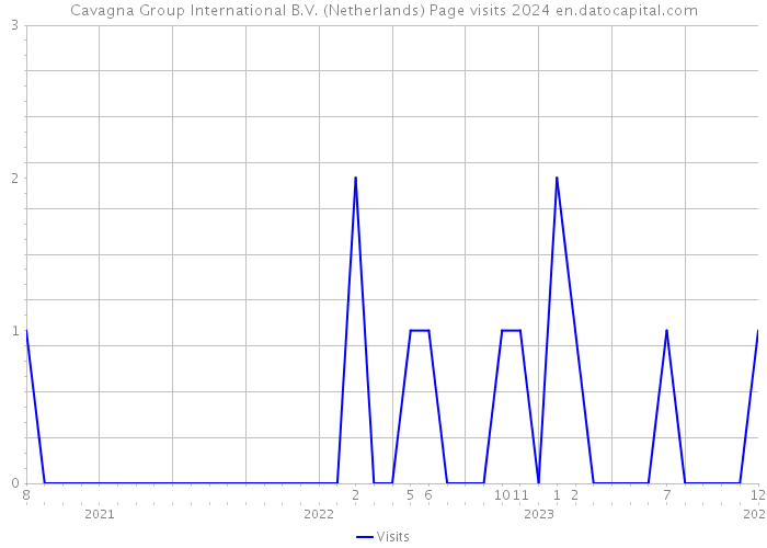 Cavagna Group International B.V. (Netherlands) Page visits 2024 