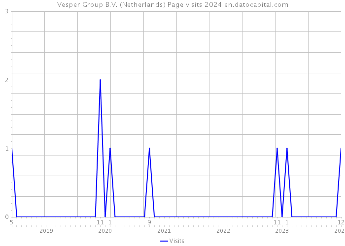 Vesper Group B.V. (Netherlands) Page visits 2024 
