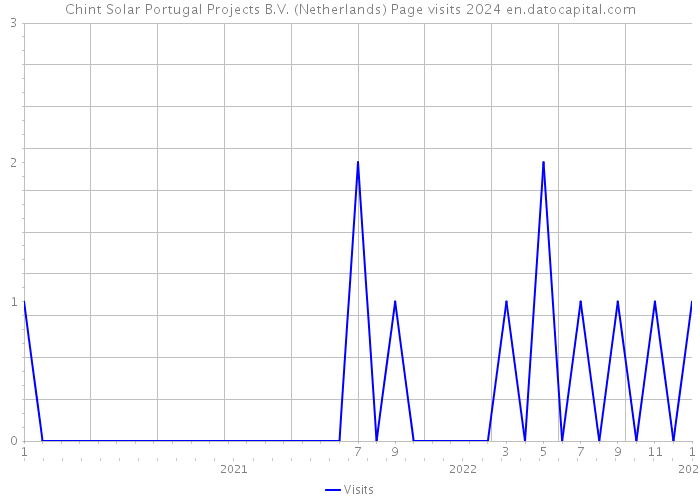 Chint Solar Portugal Projects B.V. (Netherlands) Page visits 2024 