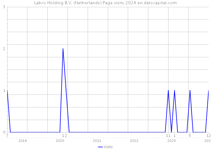 Labro Holding B.V. (Netherlands) Page visits 2024 