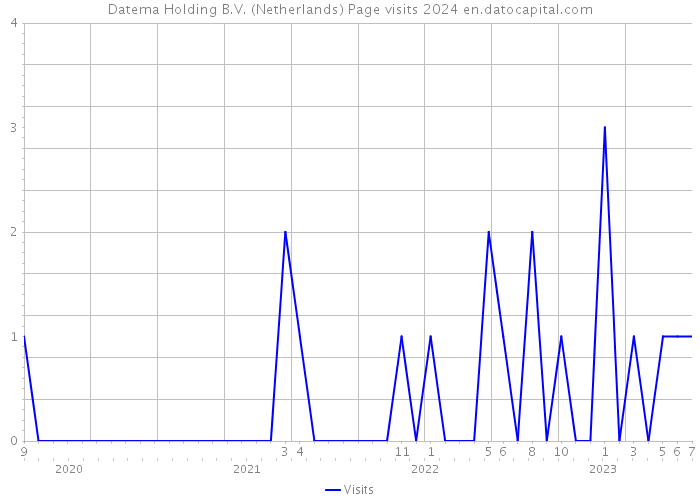 Datema Holding B.V. (Netherlands) Page visits 2024 